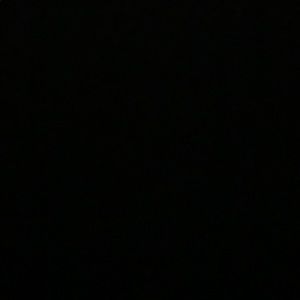 Meet your Posher, Bailey